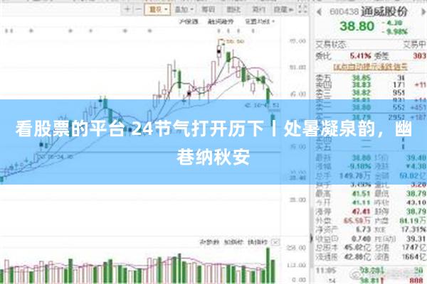 看股票的平台 24节气打开历下丨处暑凝泉韵，幽巷纳秋安