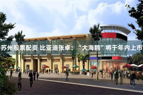 苏州股票配资 比亚迪张卓：“大海鸥”将于年内上市
