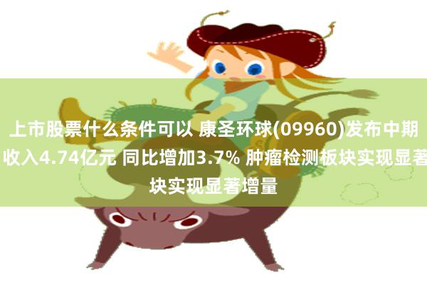 上市股票什么条件可以 康圣环球(09960)发布中期业绩 收入4.74亿元 同比增加3.7% 肿瘤检测板块实现显著增量