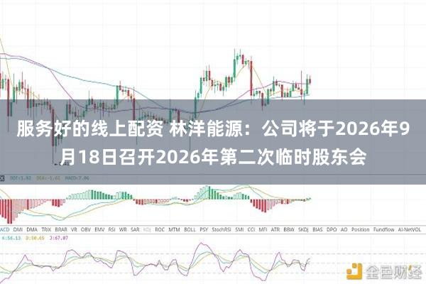 服务好的线上配资 林洋能源：公司将于2026年9月18日召开2026年第二次临时股东会