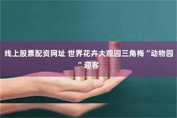 线上股票配资网址 世界花卉大观园三角梅“动物园”迎客