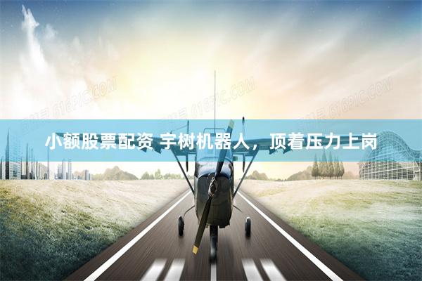 小额股票配资 宇树机器人，顶着压力上岗