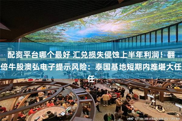 配资平台哪个最好 汇兑损失侵蚀上半年利润！翻倍牛股澳弘电子提示风险：泰国基地短期内难堪大任