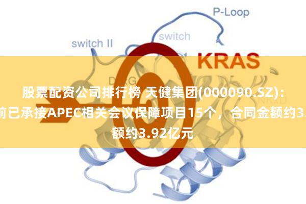 股票配资公司排行榜 天健集团(000090.SZ)：截至目前已承接APEC相关会议保障项目15个，合同金额约3.92亿元